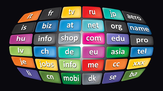 Worldwide Top Domains